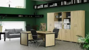 Кабинет руководителя Аргентум-М