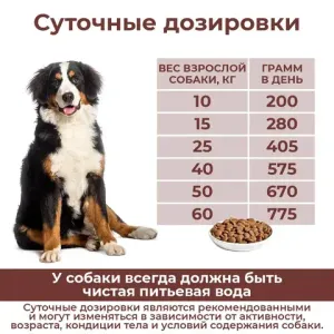 Уценка! Повр.упак. / Сухой корм Дилли для взрослых собак "Говяжья печень с овсянкой"