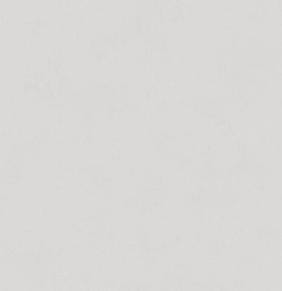 Обои матовые с иммитацией штукатурки BLONE1003