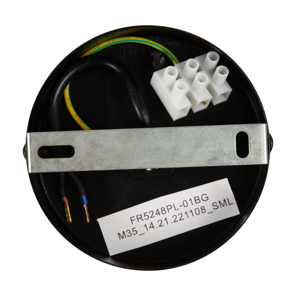 Подвесной светильник Freya MODERN FR5248PL-01BG