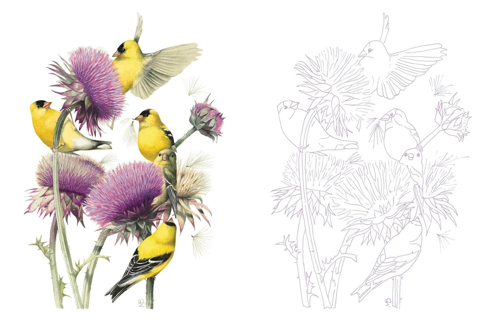 Posh Adult Coloring Book: Inspired by Nature
