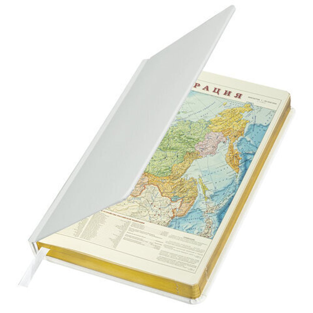 Ежедневник недатированный А5 138х213 мм, BRAUBERG "Iguana", под кожу, 160 л., белый, 114458