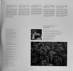 Jean-Michel Jarre - Amazonia 2LP (Европа 2021г.)