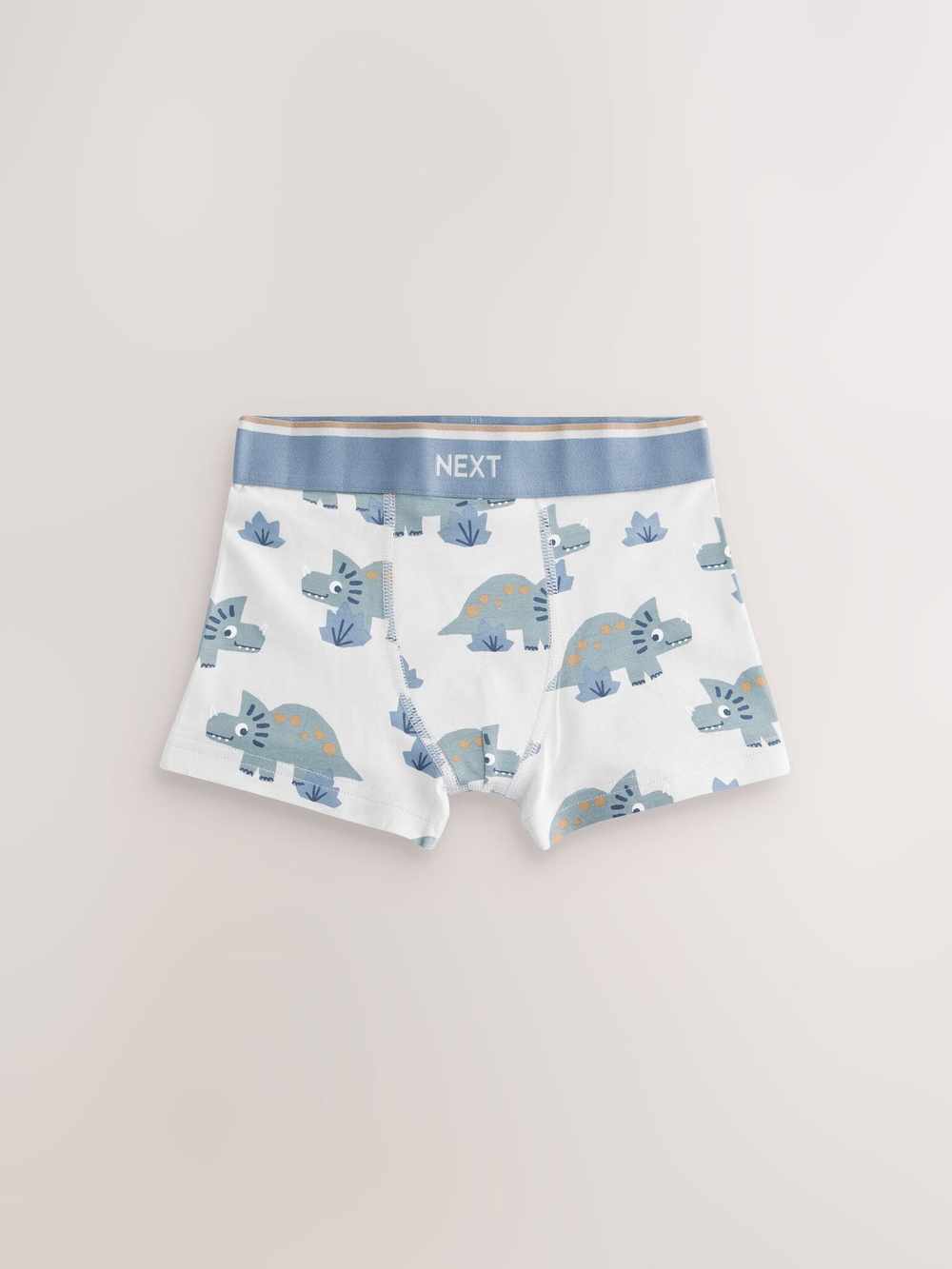 Трусы для мальчика Next E98-868, 5 шт., Голубой, Белый