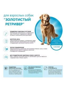 Сухой корм для собак Золотистый ретривер, лосось, 12кг