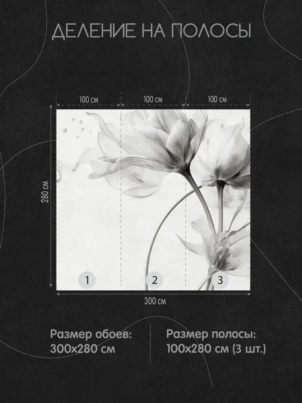 Фотообои Black Flowers 300х280 см флизелиновые Mondeco