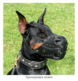НАМОРДНИК КОЖАНЫЙ "БОЕВОЙ"