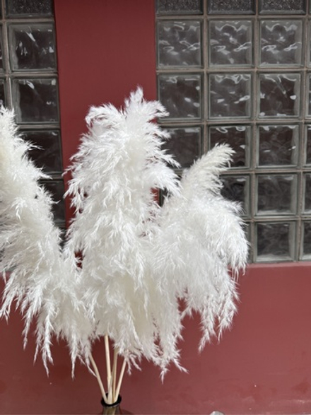 Кортадерия белая Премиум 5 шт