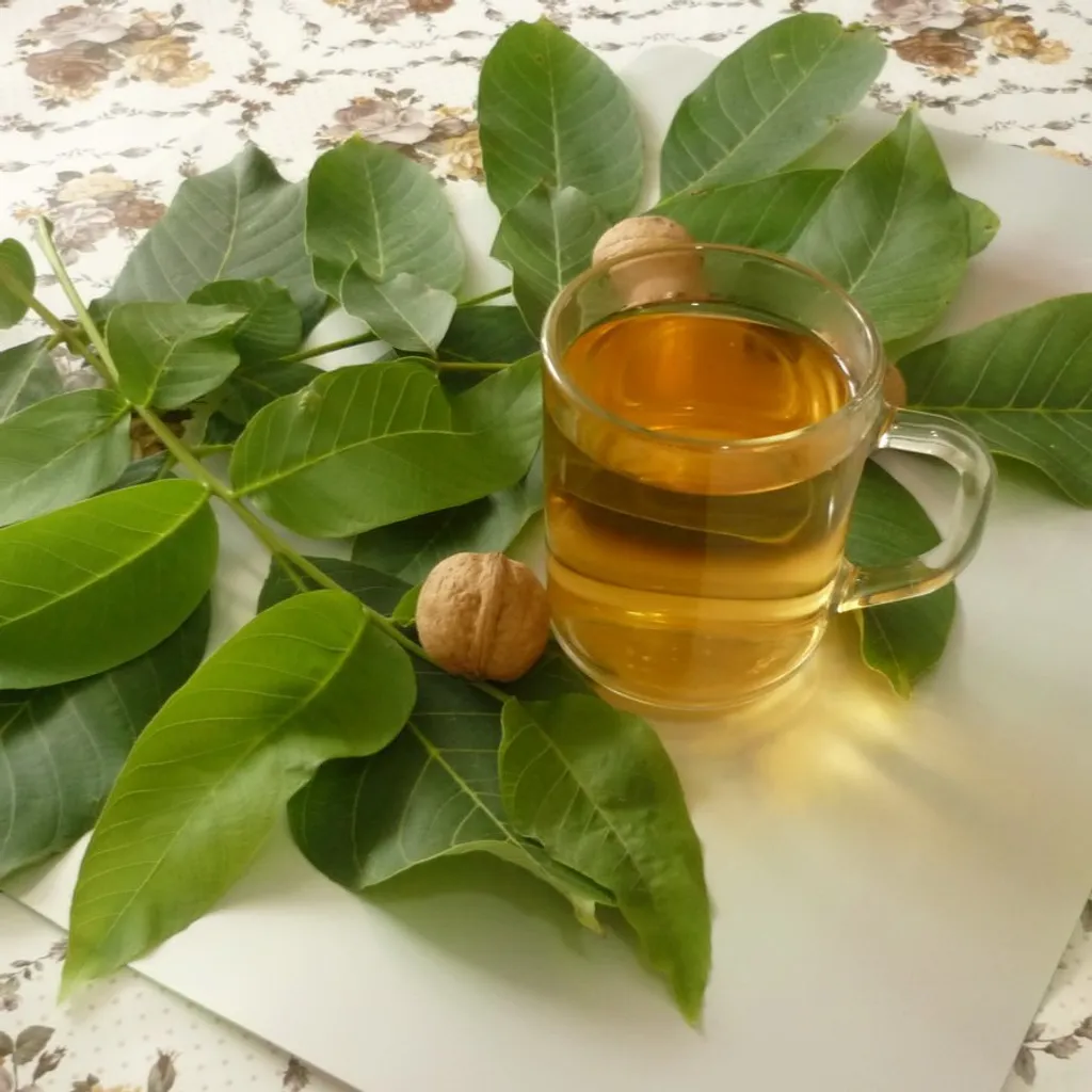 Грецкий орех (листья)