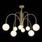 Подвесная люстра ST Luce Jineto SL1204.202.08
