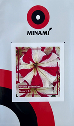 Петуния крупноцветковая Усмев F1 30шт