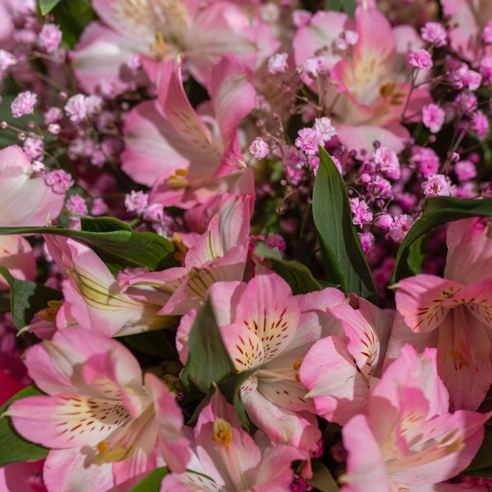 Букет цветов Альстромерии с розовой гипсофилой