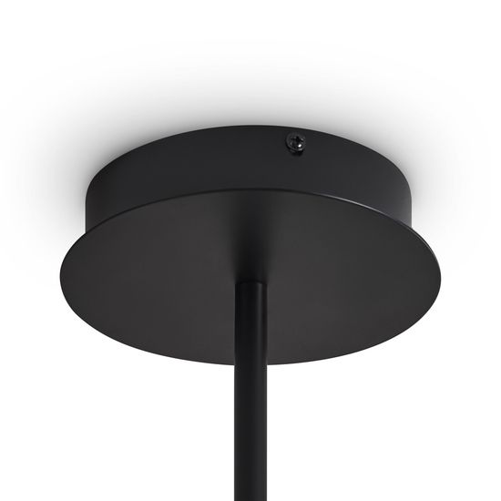 Потолочный светильник Freya FR5541CL-L30B