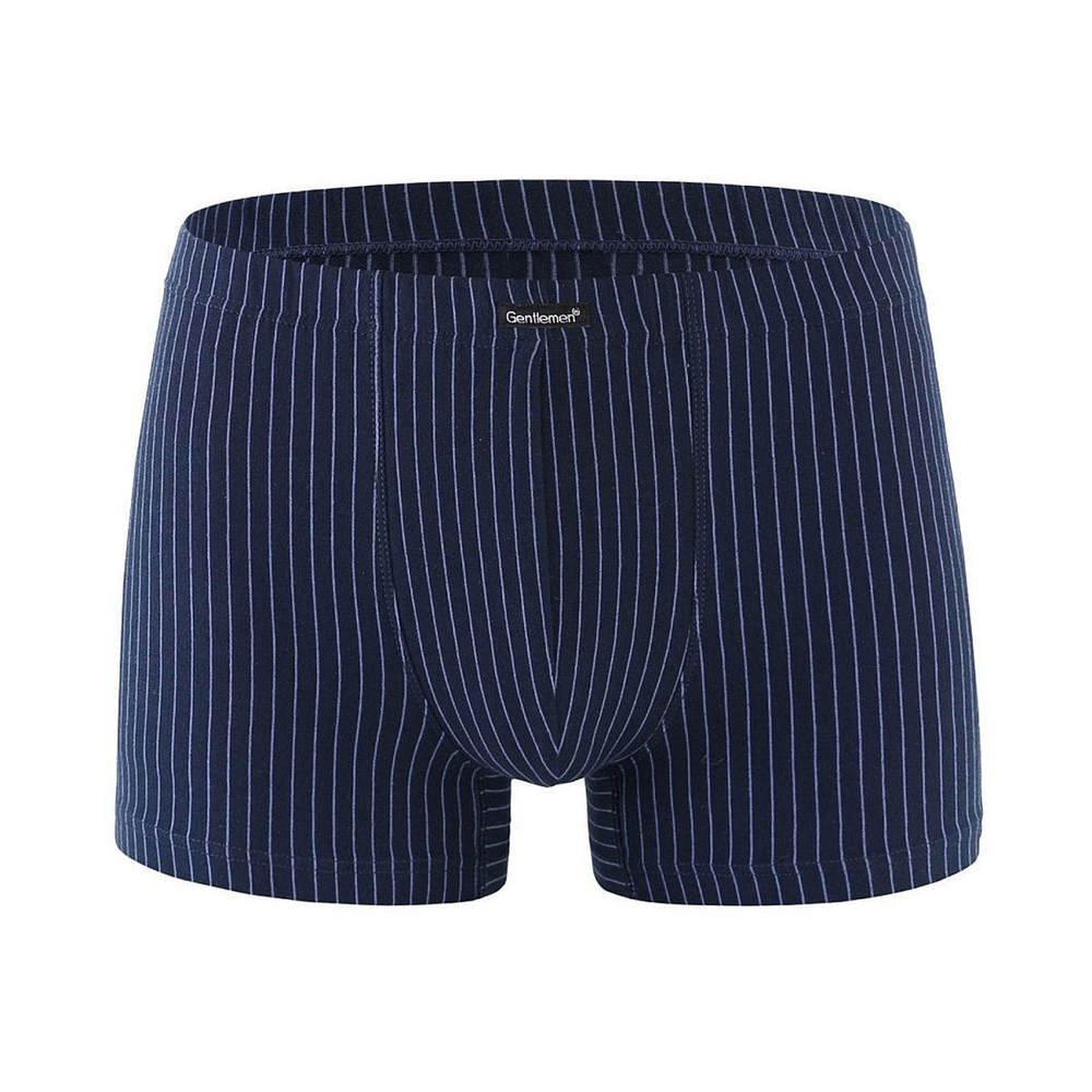 Удобные мужские боксеры в полоску (Размер: XXL) (Цвет: голубой)