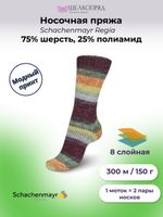 Пряжа носочная (150 гр.) Schachenmayr Regia 8 ниток, 75% шерсть, 25% полиамид