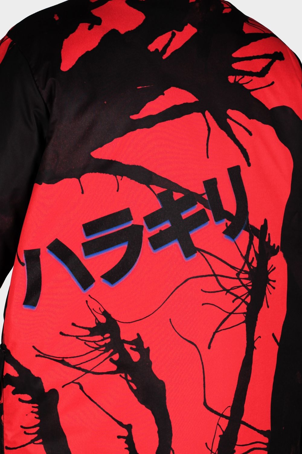 Плащ Харакири