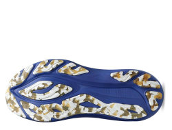 Мужские беговые кроссовки Asics GT-2000 14 Lite-Show Мужские Фиолетово-Темно-Синий