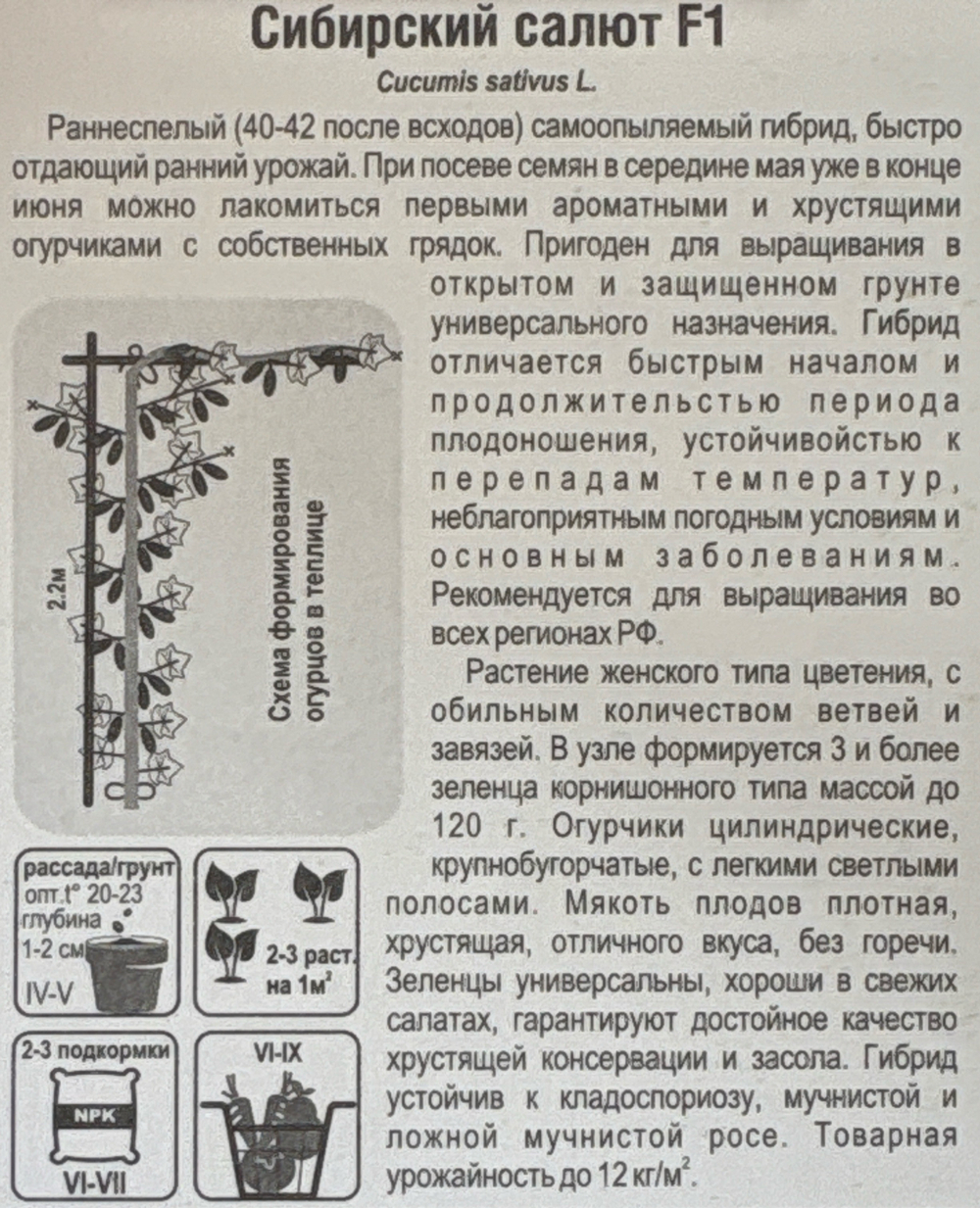 Огурец Сибирский салют 7 шт СМО-180