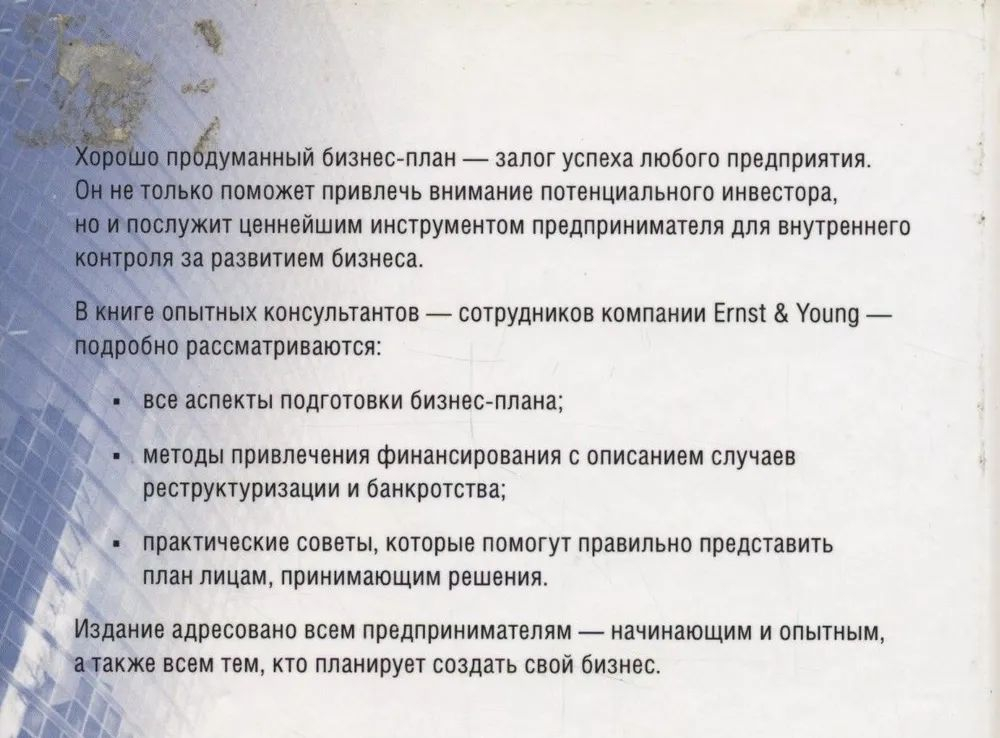 Руководство Ernst & Young по составлению бизнес-планов