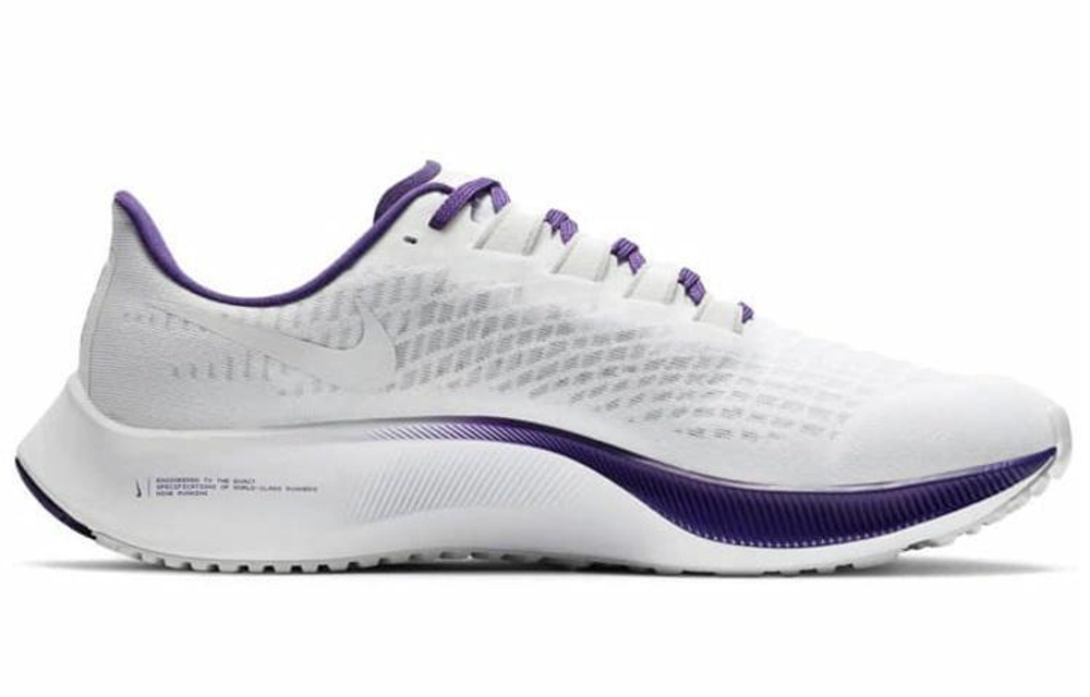 Кроссовки Nike Pegasus 37 "Minnesota Vikings"