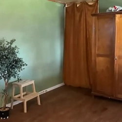 Краска цвет Мох (болотный зеленый) для мебели и декора Alice Gold 500 мл без запаха, минеральная (титановая, мраморная), высокоукрывистая, глубокоматовая, не требующая грунта и финиша