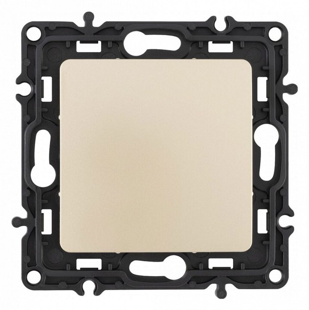 Заглушка для поста, без рамки Arte Milano am-217 217.50-1.shampan