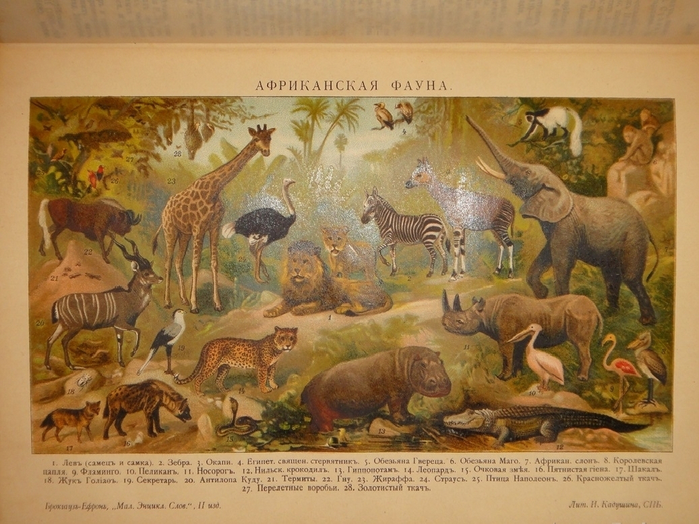 "Малый энциклопедический словарь Ф.А.Брокгауза и И.А.Ефрона в 4-х томах". Под редакцией И.Е.Андреевского, К.К.Арсеньева, Ф.Ф.Петрушевского. 1909г.