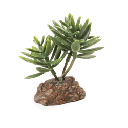 Laguna TERRA Растение пластиковое "Хавортия", зелено-коричневое, 105*90*100мм