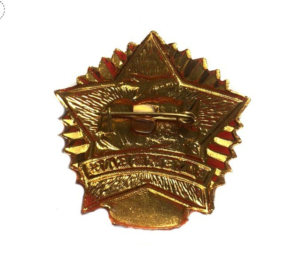 Значок Дембель (черная звезда)