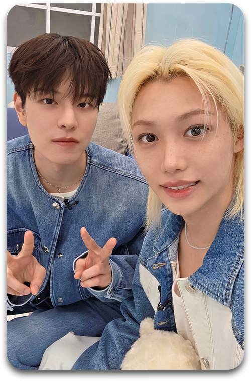 Карта / STRAY KIDS #4197