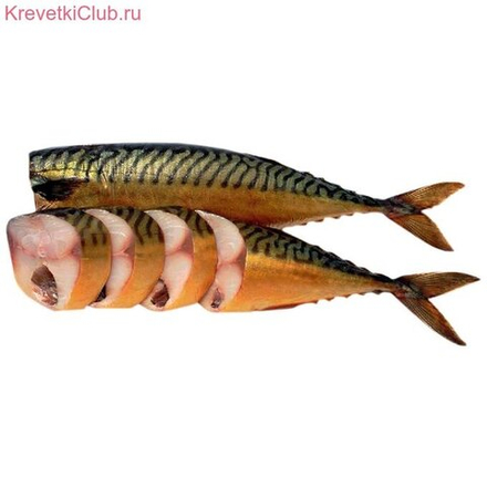 Скумбрия х/к б/г 300+ ТНС
