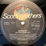 Mountain - Go For Your Life (Голландия 1985г.)