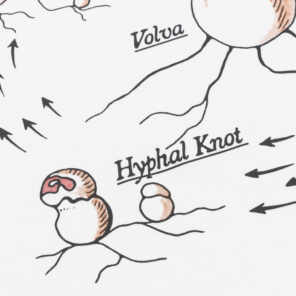 Лонгслив HAIDED ENDLESS CYCLE Белый