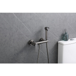 Гигиенический душ со смесителем Raglo R03.51.09, графит