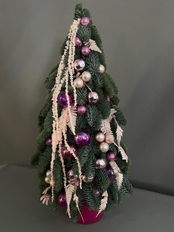 Ёлочка из нобилиса