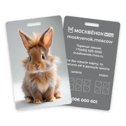 Карта Москвёнок BUNNY №5 (проход + питание)
