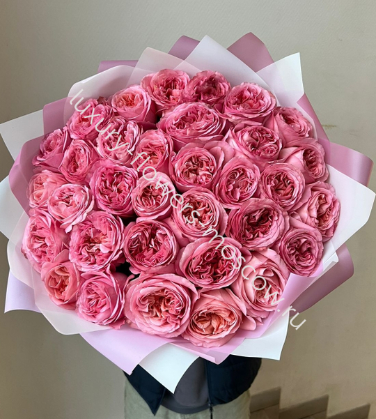 33 пионовидных раз Кэнди лайт