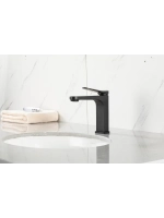 Смеситель для раковины GAPPO G1010-6