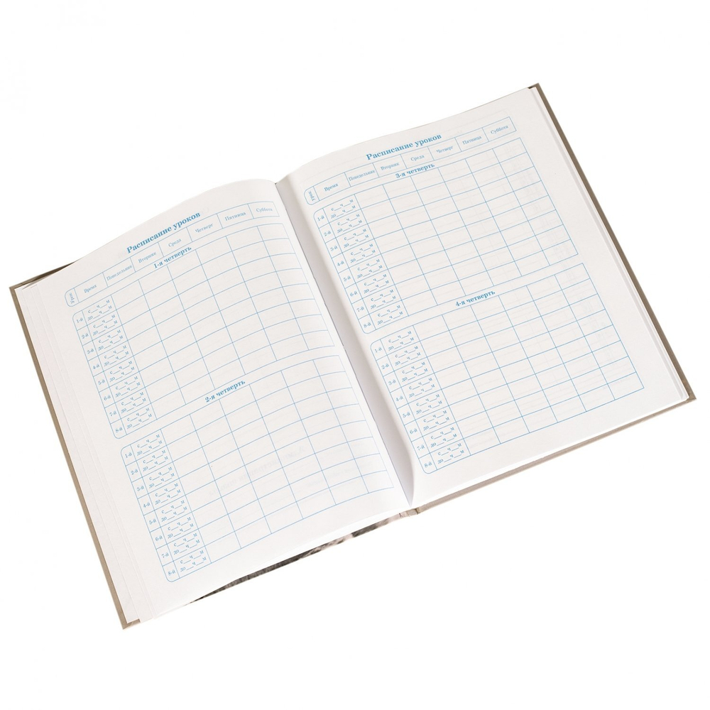 Дневник школьный Alingar 1-11 кл., 48л., 7БЦ, матовая ламинация, поролон, выб УФ лак, "Мечеть"