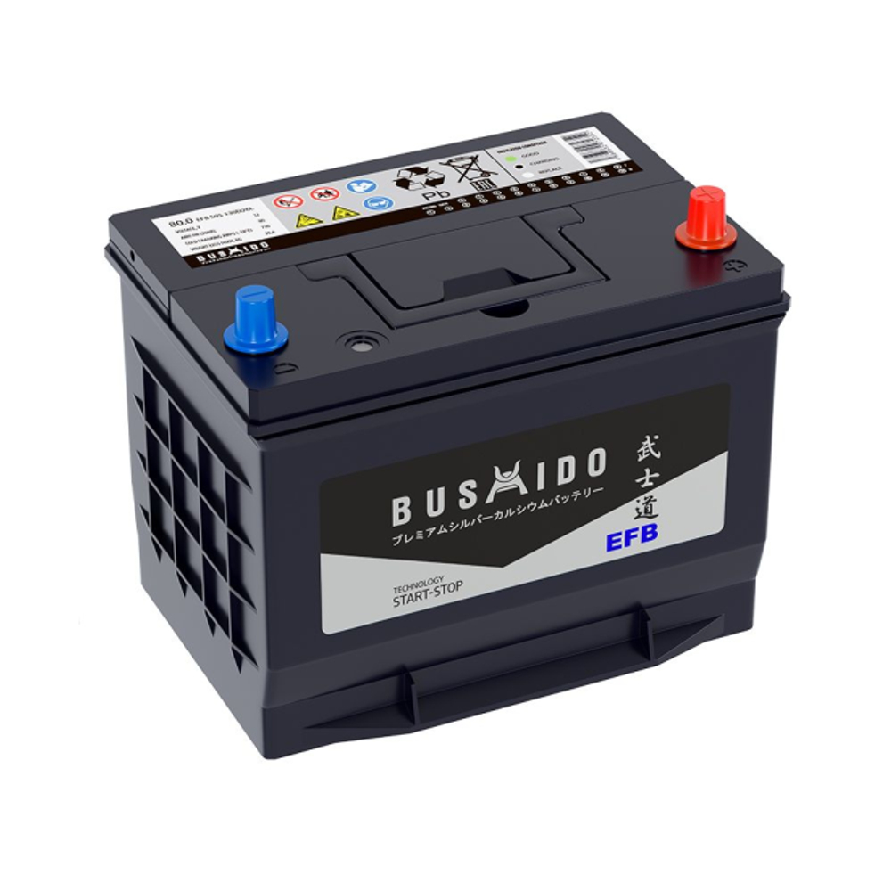 Аккумулятор 6CT- 80 А.ч., о.п., R+, BUSHIDO EFB