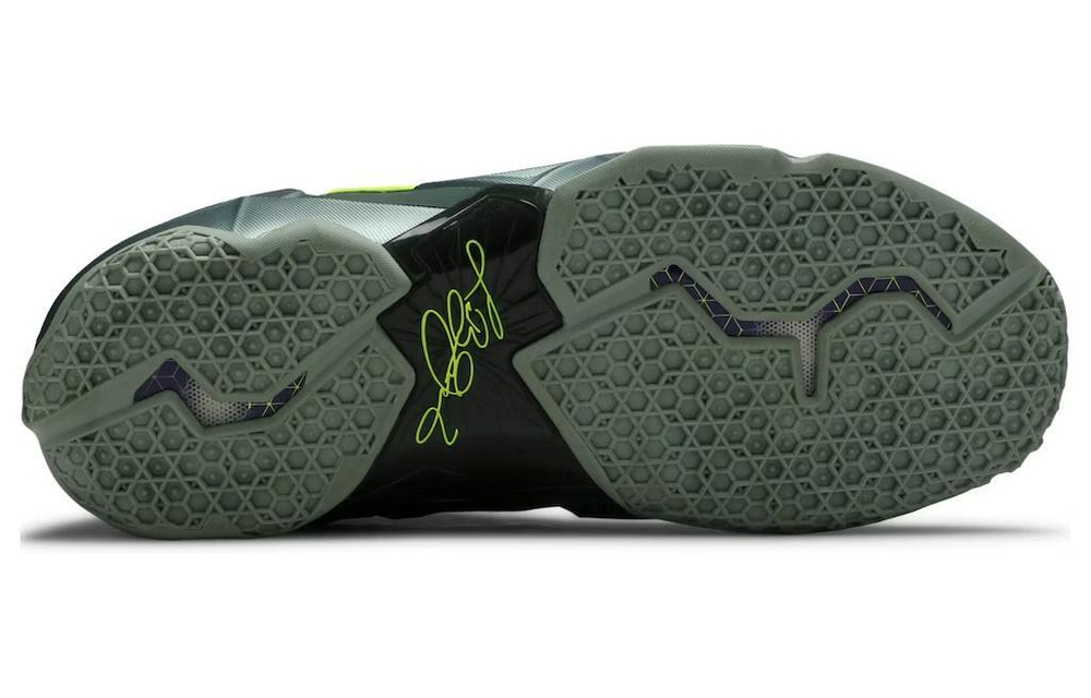 Кроссовки Nike Lebron 11 Dunkman