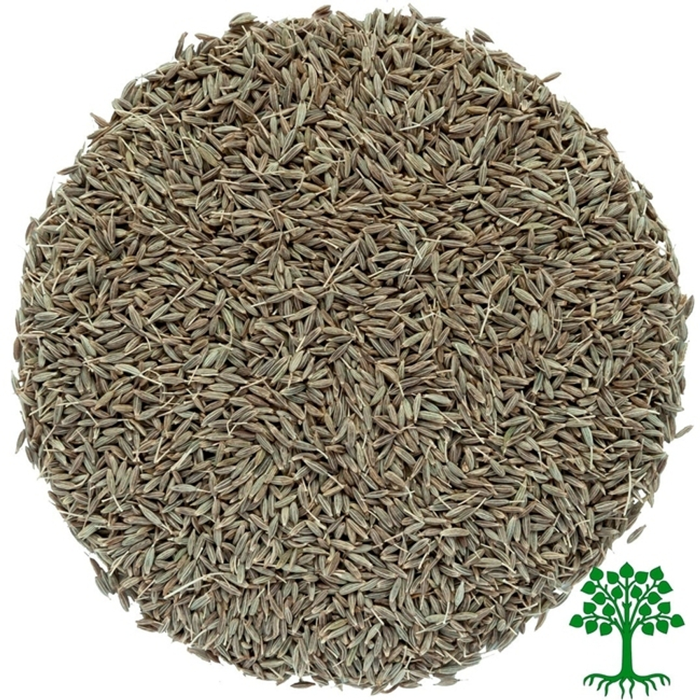 Кумин (зира)