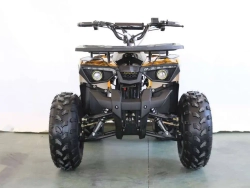Электроквадроцикл Green Camel Атакама T240 (48V 1000W R8 Дифференциал) пониженная