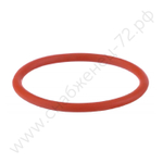 Кольцо уплотнительное IPT 60 NKS0001