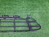 Решетка переднего бампера BMW X1 F48 (2019-2022)