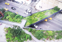 Gardens of the High Line. Piet Oudolf, Rick Darke