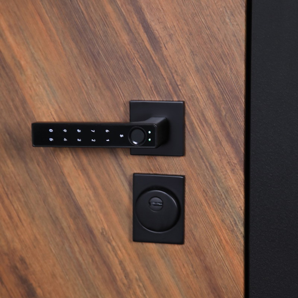 Стальная дверь "Plata" с зеркалом (умная дверная ручка). Заказная модель.