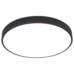 Накладной светильник Arte Lamp A2672PL-1BK
