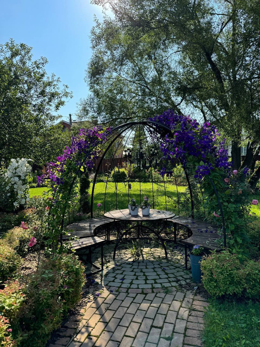 Клематис гибридный Джекмана Закупка М33 апрель 2026