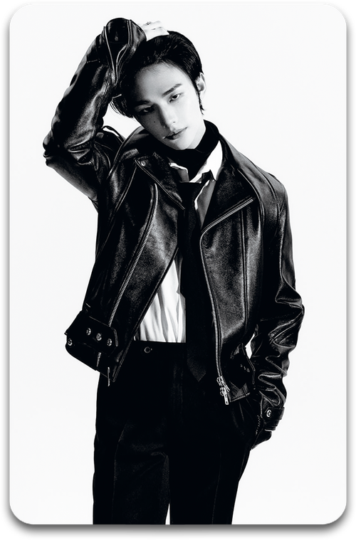 Карта / STRAY KIDS #3115